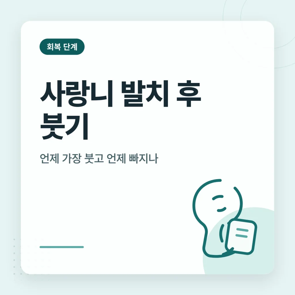사랑니 발치 후 붓기 썸네일