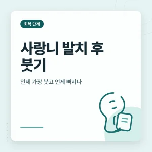 사랑니 발치 후 붓기 안내 썸네일