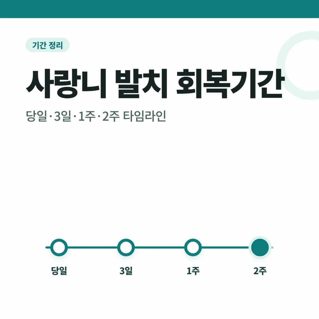 사랑니 발치 회복기간 썸네일