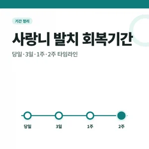 사랑니 발치 회복기간 안내 썸네일